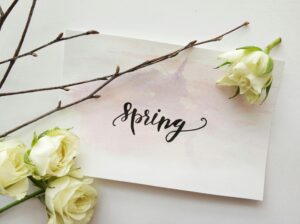 letter with "spring" written in calligraphy and framed by white carnations and sticks with buds.
