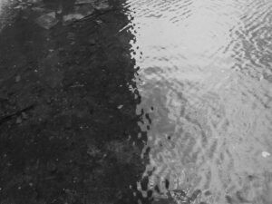 A black and white rain puddle. Water ripples over the surface. One side of the puddle is dark and the other side is lighter.