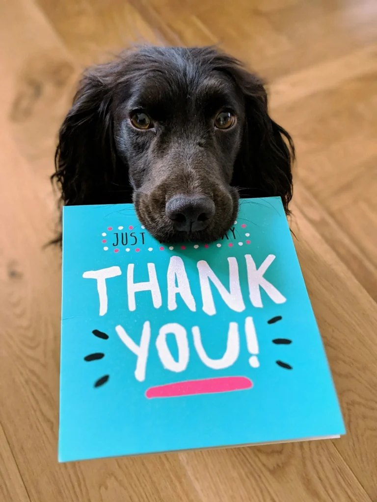 A Dog holds a thank you card in his mouth